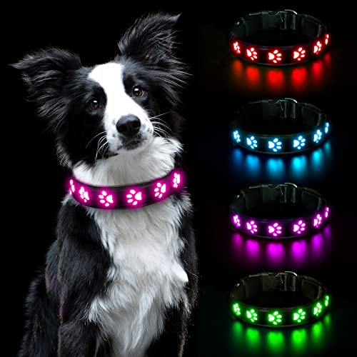 AUAUY Collare per cani con luce LED, ricaricabile tramite USB, impermeabile, in pelle PVC, regolabile, luminoso, super luminoso, per cani di taglia piccola, media e grande (rosa)