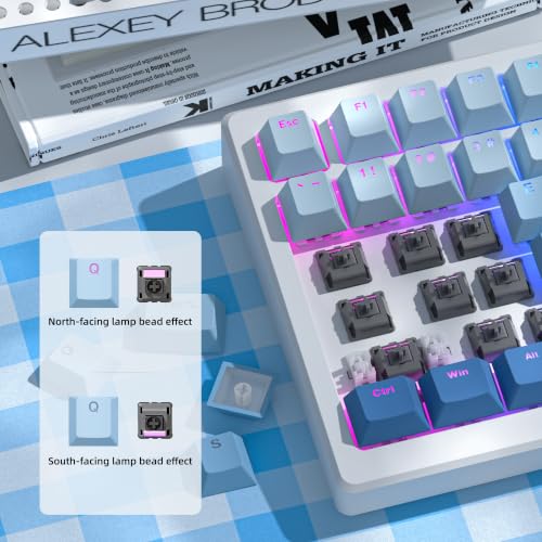 Image of Womier Shine Through Keycaps, Blue PBT Keycaps