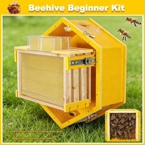 Kit de démarrage d'apiculture hexagonal ruche murale avec fenêtres en acrylique - 8