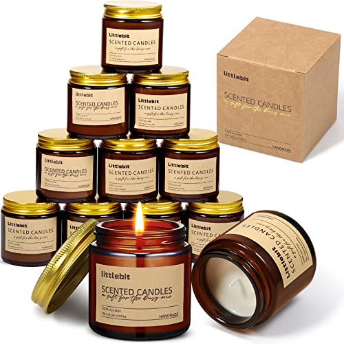 12 Pack Scented Candles Gifts for Women Aromatherapy Candle Bulk Soy Candles Thanksgiving Christmas Gift Amber Jar Candles for Thank You Gifts Birthday Holiday Present Stress Relief Home(Brown)