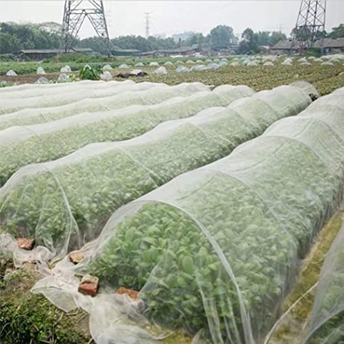 Tuin Insect Netten Fijne Mesh Plant Antibird Net Greenhouse Protective Netting Grow Tunnel voor groenten Fruit 2.5x6m… - Image 4