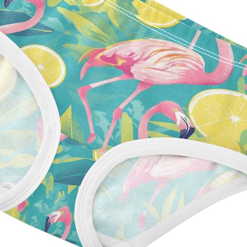 Wusikd Flamingos Girls' Underwear Cotton Slices Girls Briefs Soft Toddler Underwear 2T4