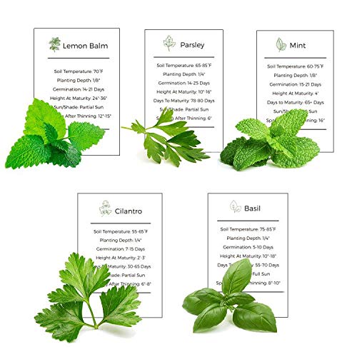 Environet Herb Garden Seeds Collection - 5 Culinary Herb Seeds Pack - Organic Basil, Mint, Parsley, Cilantro and Lemon-Balm Seeds, Non-GMO Heirloom Seeds for Planting