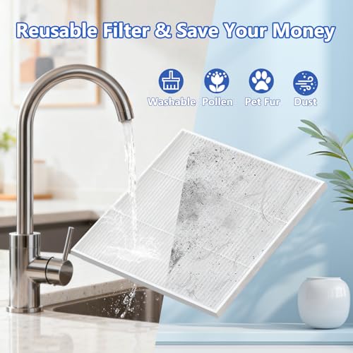 Dehumidifier for Large Basement with Drain