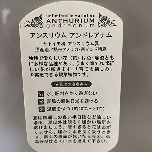 風水 犬で金運や仕事運もアップ トイレやケージの置き場に注意 フクさんの開運ブログ
