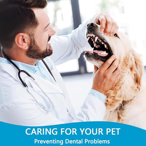 Kyrotech 4’lü Çift Taraflı Kedi ve Köpek Diş Fırçası Seti – Uzun Saplı, Ergonomik, Yumuşak Kıllı, Evcil Hayvan Ağız Bakım Fırçası, Silikon Kaymaz Gövde, Plak Temizliği için Uygun