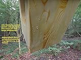 Cygon Nistkasten Set 4 Kästen  Nischenbrüter Halbhöhle - 2
