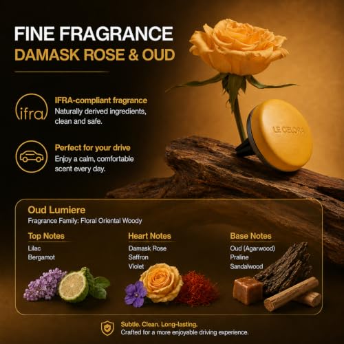 Image of LECELORA Luxury Leather Car Diffuser, Long Lasting Car Air Freshener