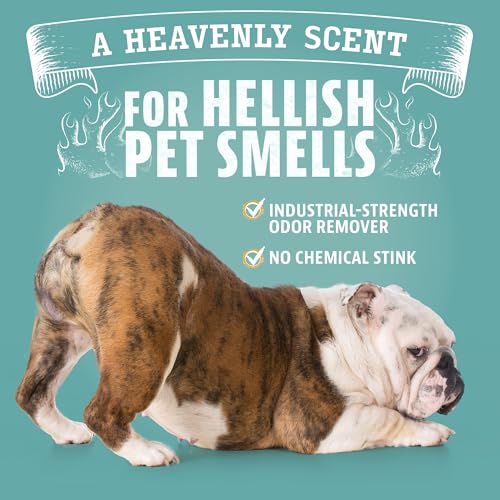 Image of ANGRY ORANGE Pet Odor Eliminator for Dog and Cat Urine, Carpet Stains, and Strong Smells - NEW Orange Rush Scent - Citrus Cleaner with Natural Orange Oil - 24 oz