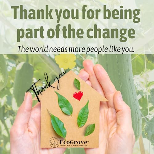 Ecogrove EG-201 Loofah Sponges 100% All Natural Bpa Free Loofahs For Dishes, Face, Soap Making, Shower, Exfoliating Eco-Friendly Biodegradable 30 Pack Compressed thumb #7