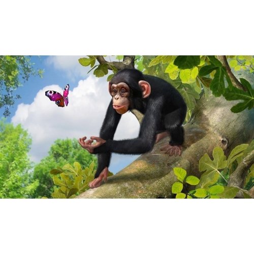 ZOO TYCOON - vue 6