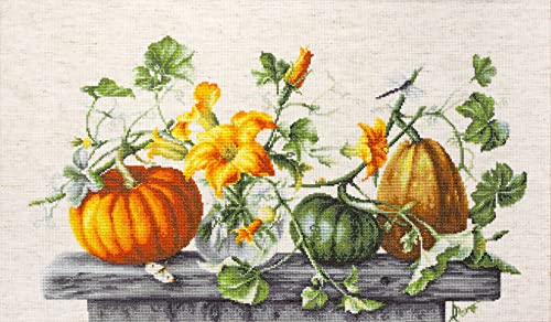 Luca-S Cross Stitch Set, Multicoloured, 49x35cm