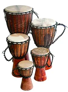 Djembe Beginner Plain, 24