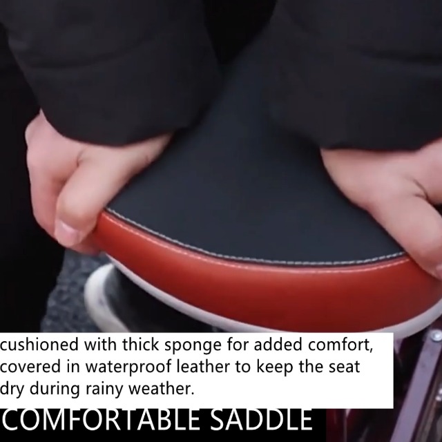 Triciclo para adultos y ancianos con cabina grande, triciclo de carga de uso dual de 20 pulgadas, triciclo tándem con asiento doble, triciclo cruiser de 3 ruedas con horquilla amortiguadora y frenos sensibles miniatura 7