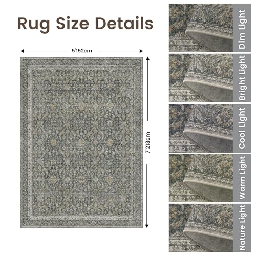Rugland 5x7 Area Rugs - Stain Resistant Washable Rug, Anti Slip Rugs for Living Room, Vintage Tribal Area Rugs(Vintage01-Deep, 5'x7')