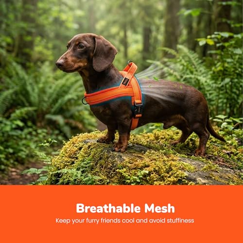 Image of Didog No Pull Dog Harness for Small Dogs, Breathable Mesh Padded, Orange,XS | Quick Fit, Easy On and Off, Lightweight, Reflective Vest Harness for Night Safty, Easy for Walking and Training, Chest 15-18 inch