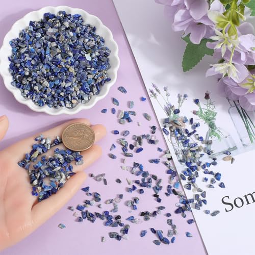SOFPLATE 500g/1.1lb Lapis Lazuli Stone Chips Tumbled Stones Chips Mini Irregular Shaped Blue Crushed Tumbled Stone Rock Chip Pieces for Jewellery Making Home Office Vase Plants Decorative Crafts - Image 3