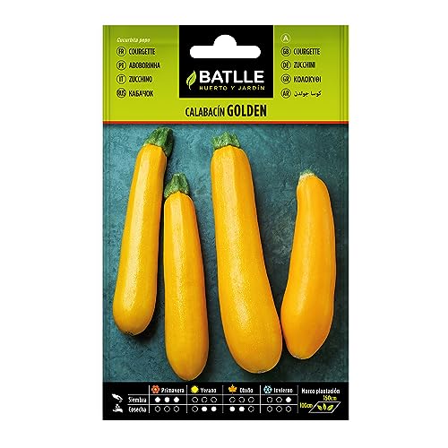 Semillas Batlle Calabacín Golden