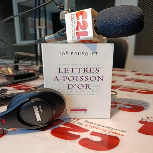 Des Voix &agrave; Lire - Lettre &agrave; Poisson d'OR_Joe Bousquet
