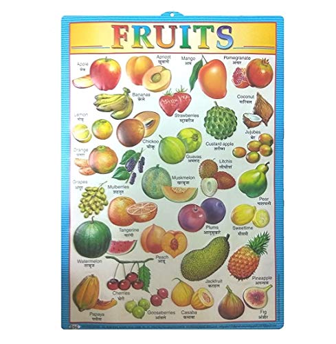 Image of Tini 3D Educational Learning Wall Charts for Students, Teachers, Schools | Numbers, Fruits, Hindi Varnmala, Alphabets & Vegetables | Pack of 5