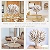220PCS Natural Dried Pampas Grass Boho Home Decor Bouquet Phragmites Dried Flowers Bouquet for Wedding Floral Arrangements Home Decorations (220PCS) #1