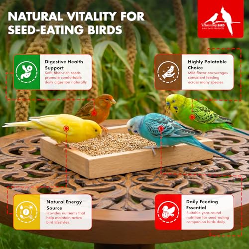 Morning Bird Japanese Millet Seed Bag 9 lbs - Healthy & Nutritious Pet Bird Food to Support Health & Immunity - Delicious Unique and Natural Flavor – Ideal Bird Feed for All Seed Eating Birds - Image 4