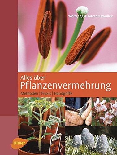 Alles &uuml;ber Pflanzenvermehrung: Methoden, Praxis, Handgriffe