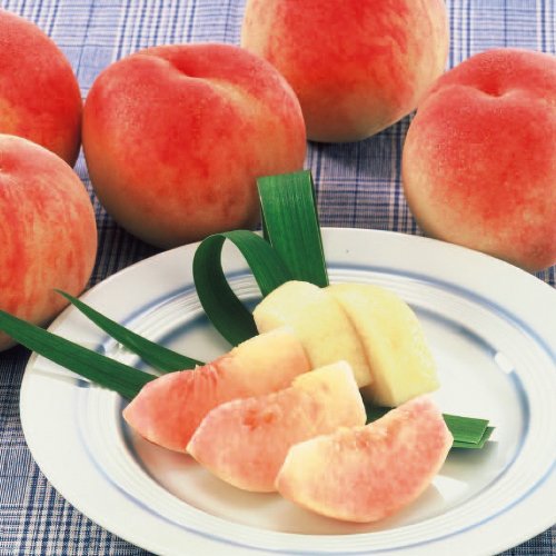 Amazon.co.jp: 桃の苗木 川中島白桃 1年生苗 12-13.5cmポット苗 : DIY