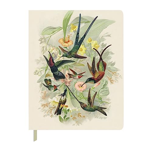 Diario colibríes Fringe Studio de tapa blanda grande 7.5x9.5 pulgadas de 208 páginas