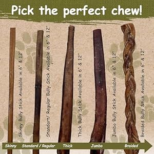 Top Dog Chews - 6" Bully Sticks Roasted - All Natural from Free Ranging Beef - 25 Pack Top Dog Chews 6 Bully Sticks Roasted All Natural from Free Ranging Beef 25 Pack
