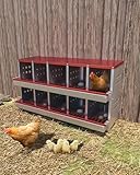 rust-proof galvanized egg collection tray for high-volume backyard layers