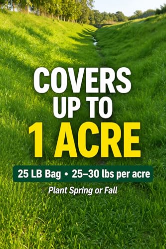 Grass Seed Blends For Erosion Control On Slopes