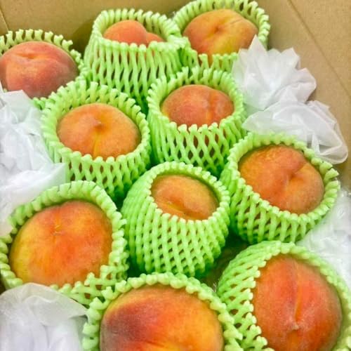 桃 ワッサー」の人気商品一覧 | 安い商品を通販サイトから探す