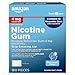 Basic Care Nicotine Gum  4mg, Ice Mint Flavor, 160 Count
