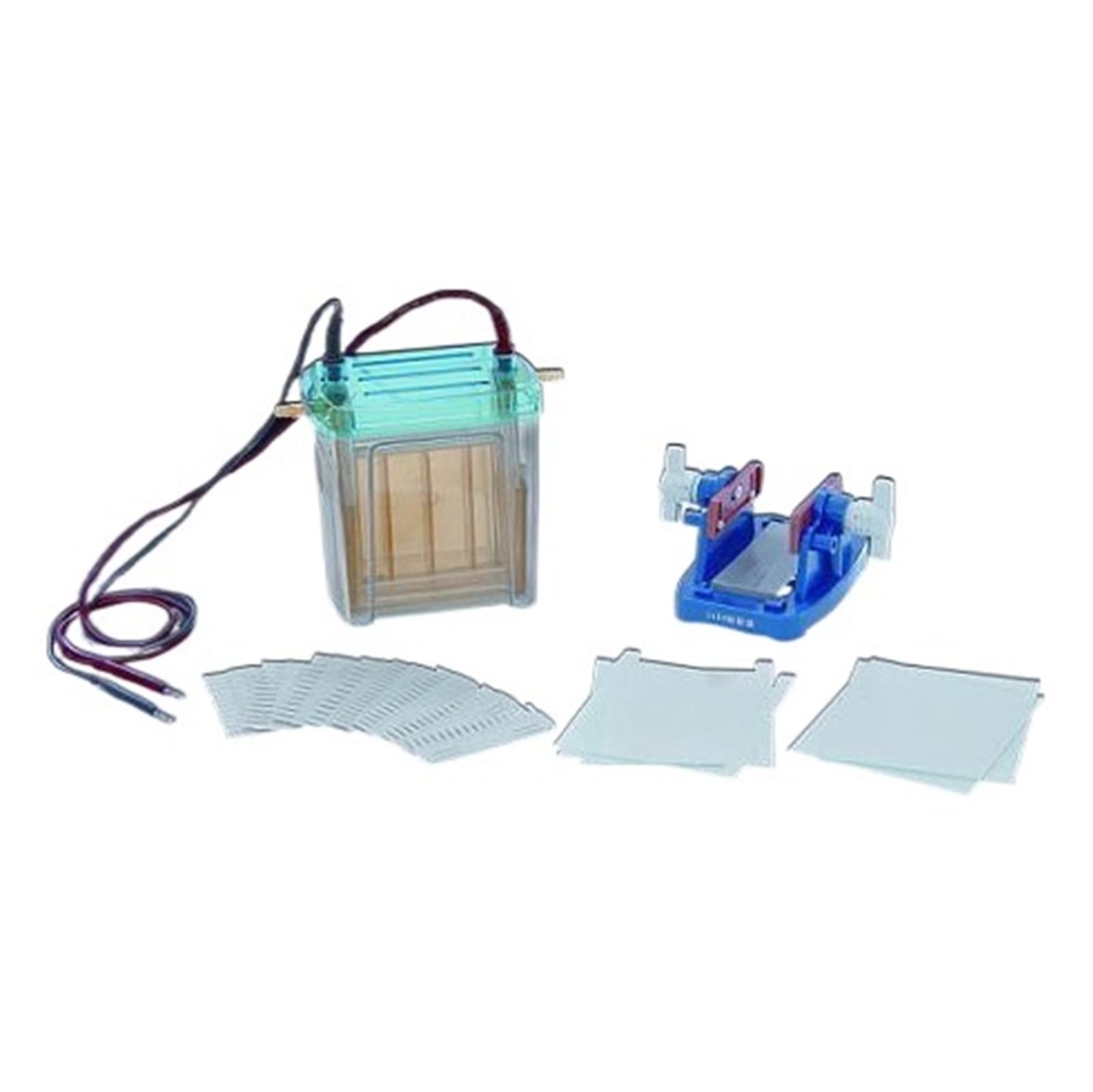Electrophoresis, DYCZ-24EN Mini Double Vertical Electrophoresis Apparatus