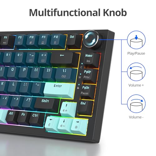 Clavier de jeu mécanique 75% SOLIDEE Monstor avec structure Gasket et boutons