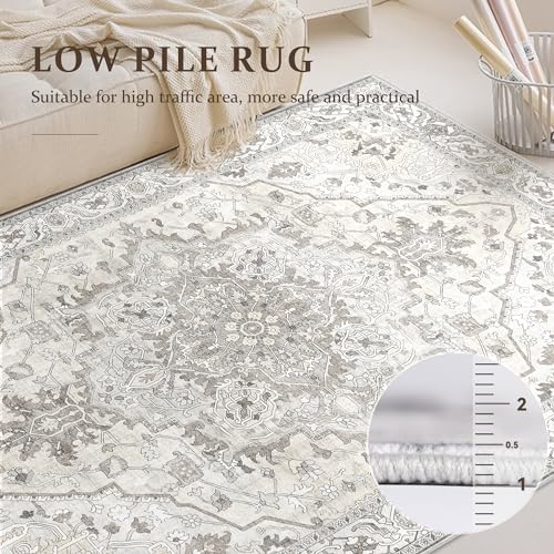 Boho Area Rug 6x9 Washable Large Vintage Rug for Living Room Bedroom Office Kitchen Entrance Dining Room Non Slip Soft Low-Pile Farmhouse, Beige/Multi
