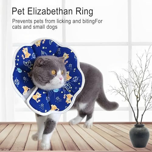 Xiuyer Halskrause Katze, Hunde Halskrause für Kleine Hunde und Erwachsene Katzen, Leckschutz Hund nach Op Hund