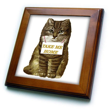 Amazon.com: 3dRose ft_37468_1 Vintage Cat with Take Me Home Sign