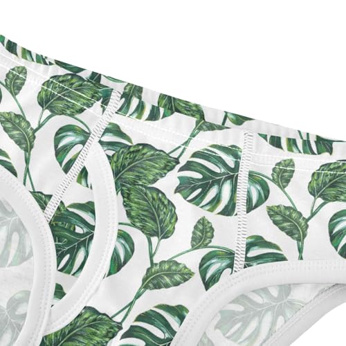 Boys' Exclusive Briefs Toddler Underwear 95% Combed Cotton Boxerbriefs 2T Monstera Leaf Pattern 534