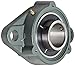 NTN UCFL313D1 Heavy Duty Flange Bearing, 2 Bolts, Setscrew Lock, Regreasable, Contact and Flinger Seals, Cast Iron, 650mm Bore, 9-29/64" Bolt Hole Spacing Width, 6-7/8" Height, 13489lbf Static Load Capacity, 20796lbf Dynamic Load Capacity