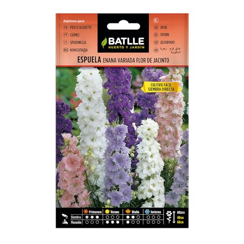 Semillas Batlle Espuela - ENANA - flor de jacinto