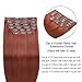 Dark Auburn Clip in Hair Extensions Full Head, Re4U 14
