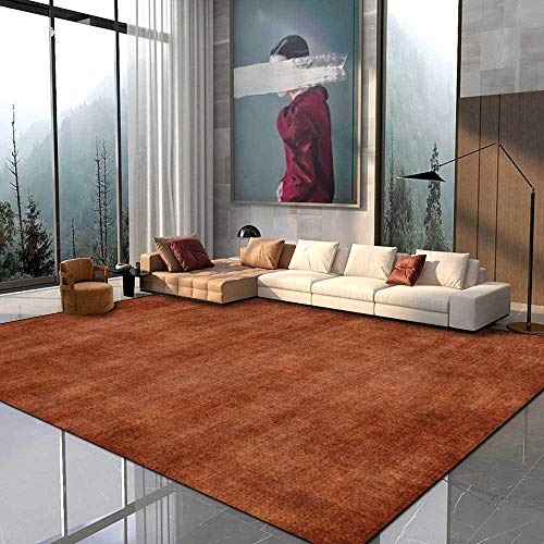 Tapis doux salon grand format marron antidérapant lavable