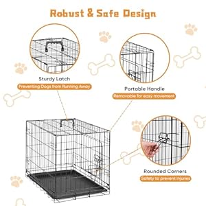 Dog-Crate-24-Inch-Small-Double-Door-Dog-Cage-with-Divider-Panel-and-Plastic-Leak-Proof-Pan-Tray-Folding-Metal-Wire-Pet-Kennel-for-Indoor-Outdoor-Travel - Cucciolini Doodles   Dog-Crate-24-Inch-Small-Double-Door-Dog-Cage-with-Divider-Panel-and-Plastic-Leak-Proof-Pan-Tray-Folding-Metal-Wire-Pet-Kennel-for-Indoor-Outdoor-Travel