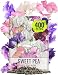 Seed Needs, Old Spice Sweet Pea (Lathyrus odoratus) 200 Seeds
