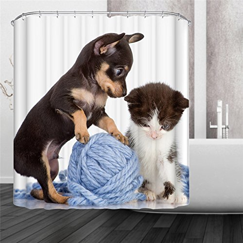 Generic CatDog, 180cm 180cm New 1pcs 2 Size Modern Style CatDog