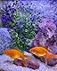Tyrol - Künstliche Aquariumpflanze, XL, 22 cm – Dekoration für Aquarium – Kunststoffpflanze auf Sockel – Zimmerpflanze mit Wasserlinse – einfache Verankerung am Boden des Aquariums – hergestellt in