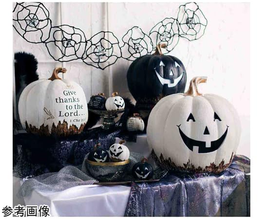 Amazon.co.jp: 店研創意 パンプキンオブジェ ブラック かぼちゃ置物 SS