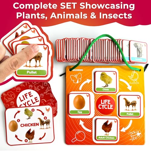 QUOKKA Life Cycle Kit Toy Montessori - 30 Flash Cards Toddler Science Activities for Kids Ages 2-4 - Prek Animal Learning Materials 3-5 - 120 Magnetic Toddler Classroom Must Haves for Preschool - Image 6